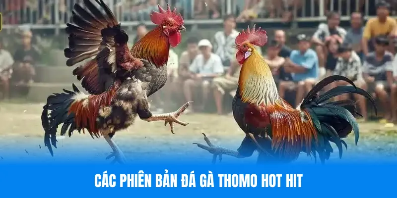 Các phiên bản đá gà Thomo hot hit