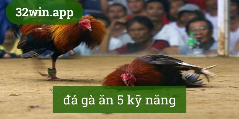 Các kỹ năng trong đá gà ăn 5